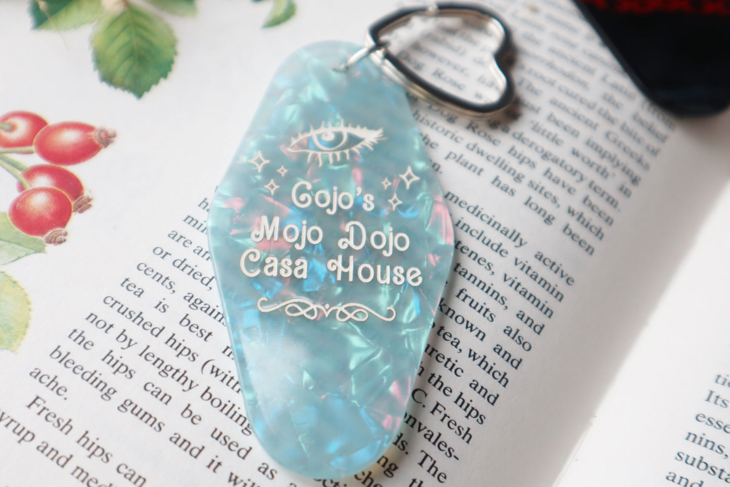 Gojo's room keychain